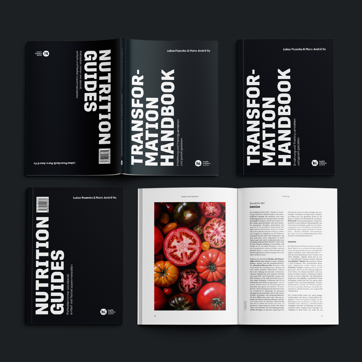 hi-transformationhandbook-01-b